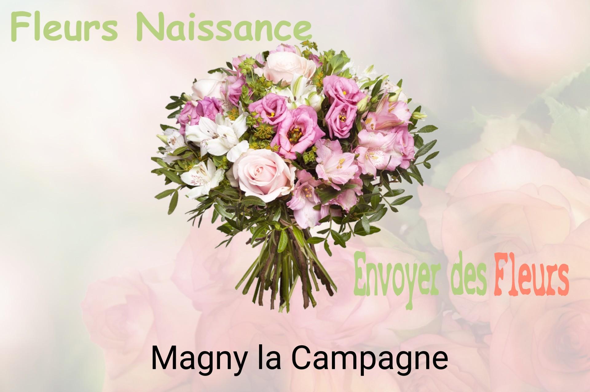 Bouquet de fleurs de naissance livré à Magny-la-Campagne